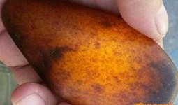 今日看料,揭秘最新资讯背后的故事