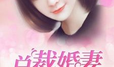 总裁夺爱失婚妻